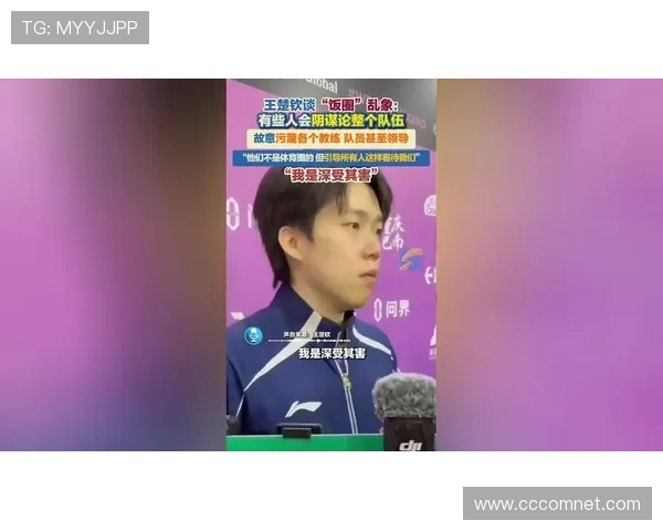 王楚钦谈心态把握展望卢伟为 王楚钦谈心态把握展望卢伟为